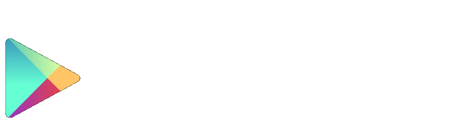 Google Play Store Logo